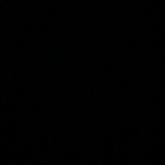 Meet your Posher, Rudy - Picture 1 of 1